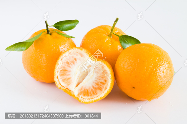 椪柑