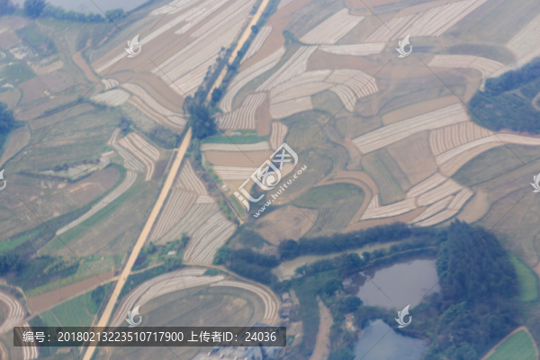 航拍,水田