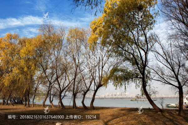 長江沿岸