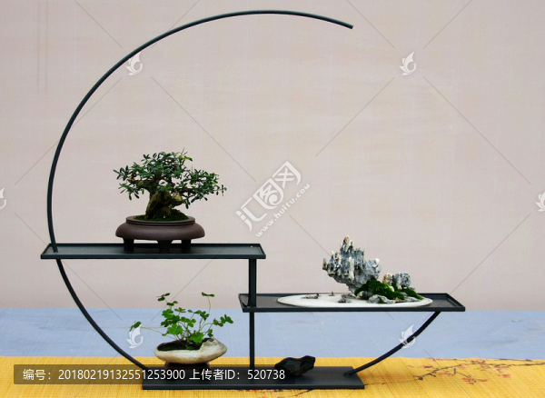 盆景,植物,藝術(shù)