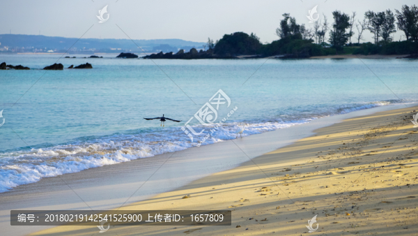 海灘