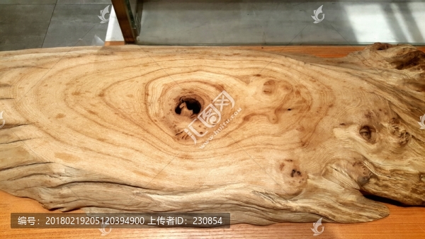 樹木紋理,年輪