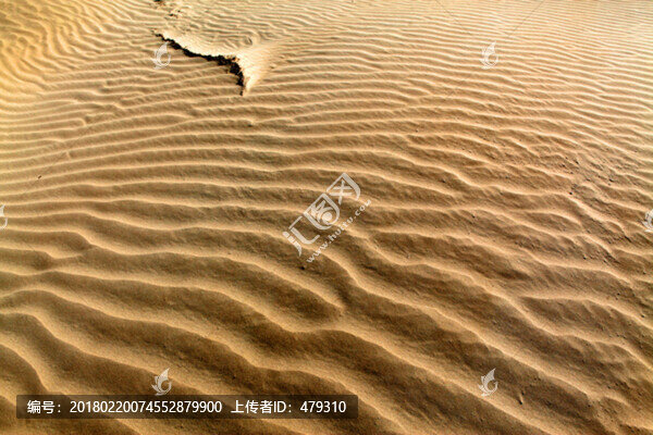 沙漠