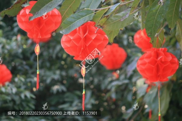 紅燈籠