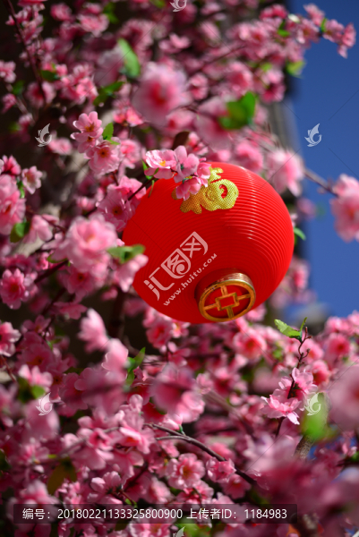 紅燈籠,春節(jié),文化,喜慶,祝福