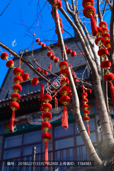 紅燈籠,春節(jié),文化,喜慶,祝福