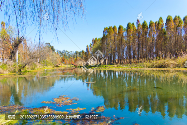 彩色濕地