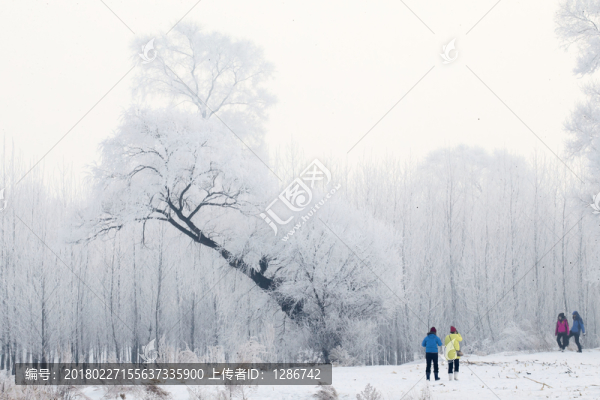 霧