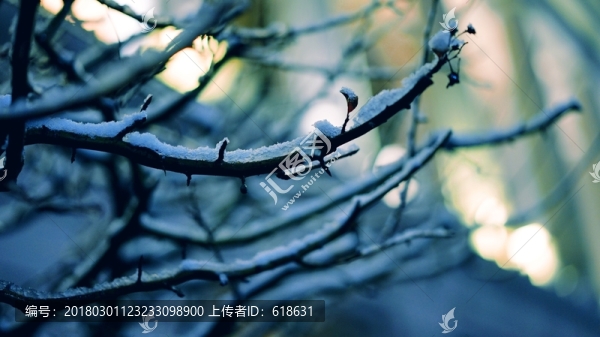 上海初雪