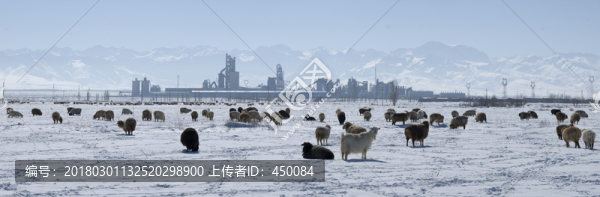 路上的風(fēng)景