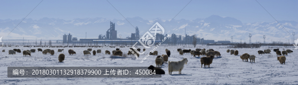路上的風(fēng)景