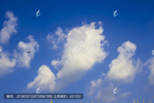 藍(lán)天白云