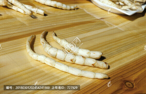 新鮮地蠶