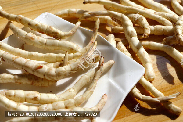 地筍,地蠶