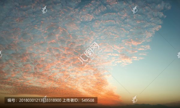 朝霞飛
