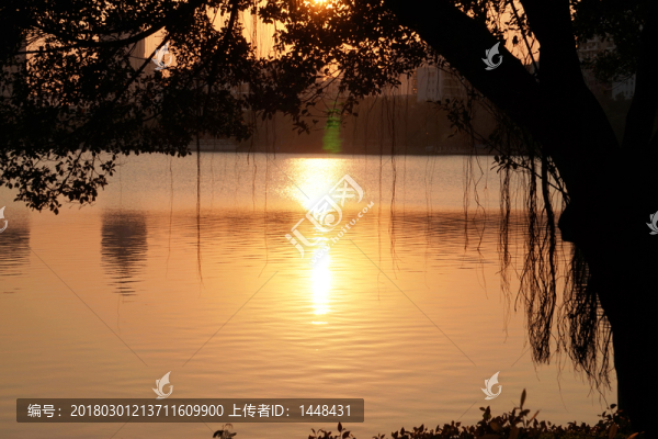 日落下的湖畔