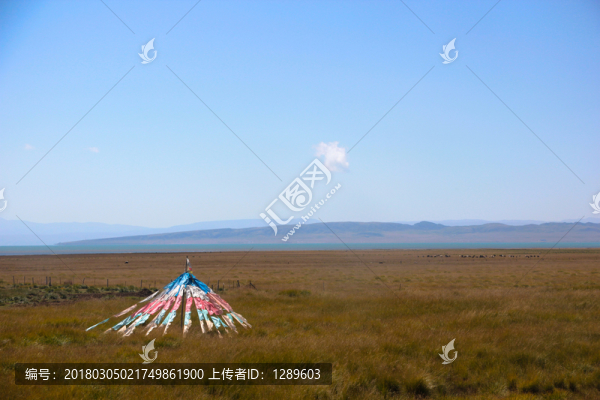 青海湖畔