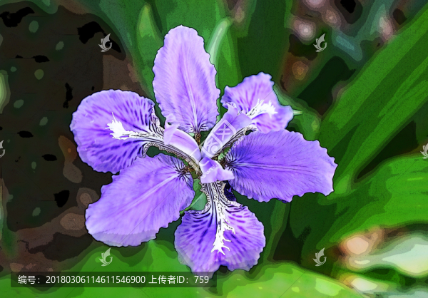 小花