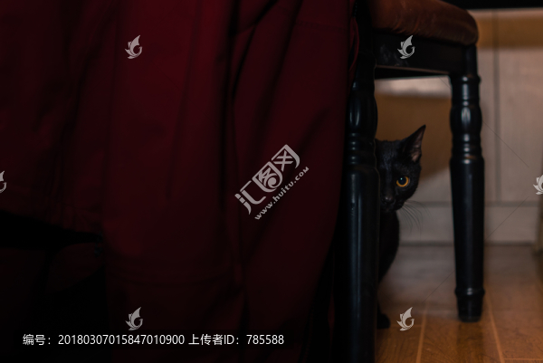 黑貓
