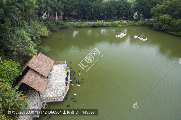 長隆野生動物園天鵝湖