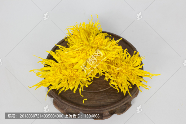 金絲皇菊