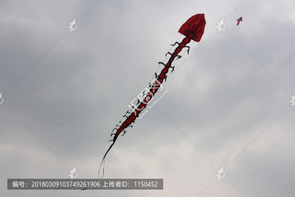 風(fēng)箏,（12）