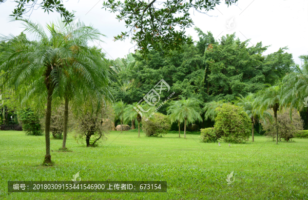 公園綠化