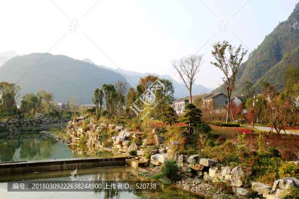 田原,風(fēng)景,樹(shù)木,小橋
