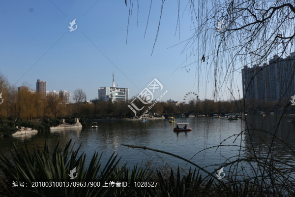 公園一角