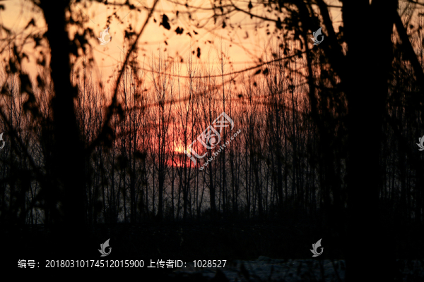 夕陽