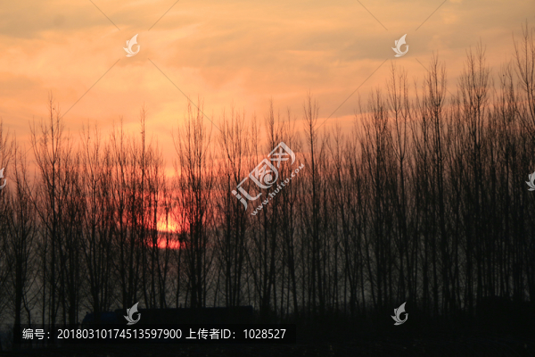 夕陽