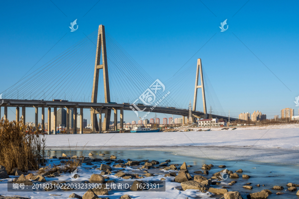 天津濱海新區(qū),濱海大橋