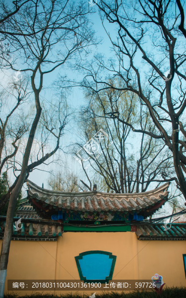 翠湖公園