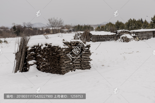 林海雪原,,雪鄉(xiāng)
