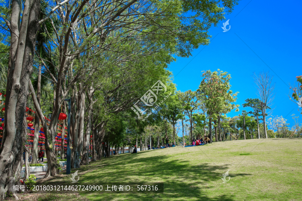 香蜜公園