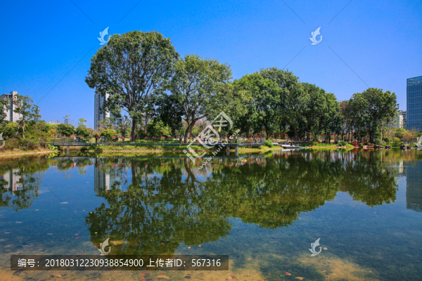 香蜜公園