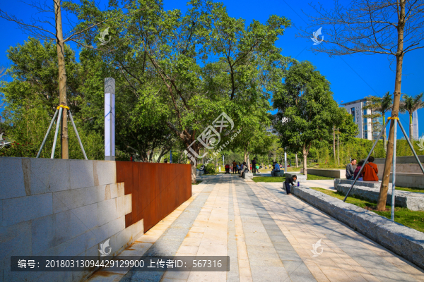 香蜜公園
