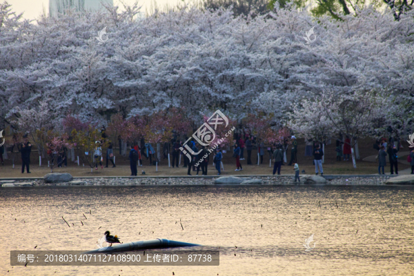 北京玉淵潭