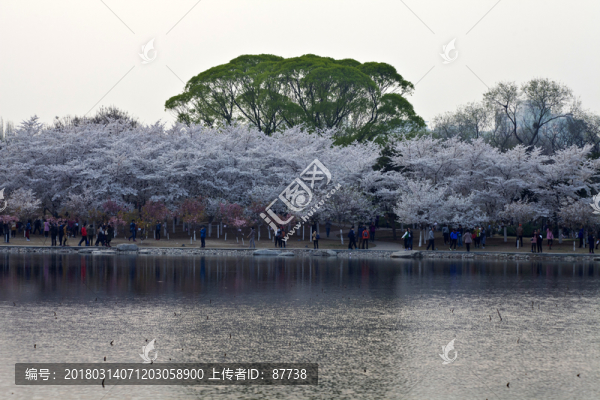 北京玉淵潭