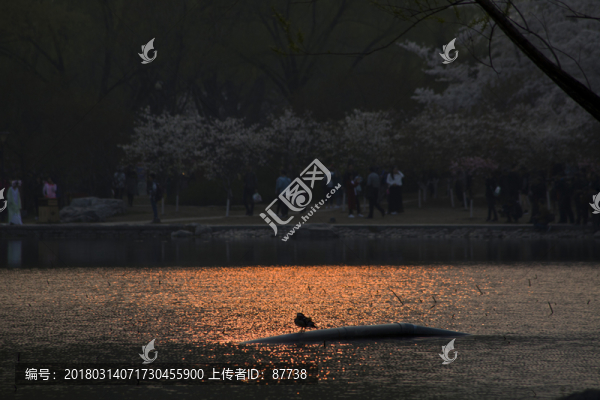 北京玉淵潭