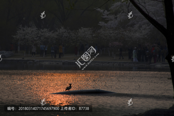 北京玉淵潭