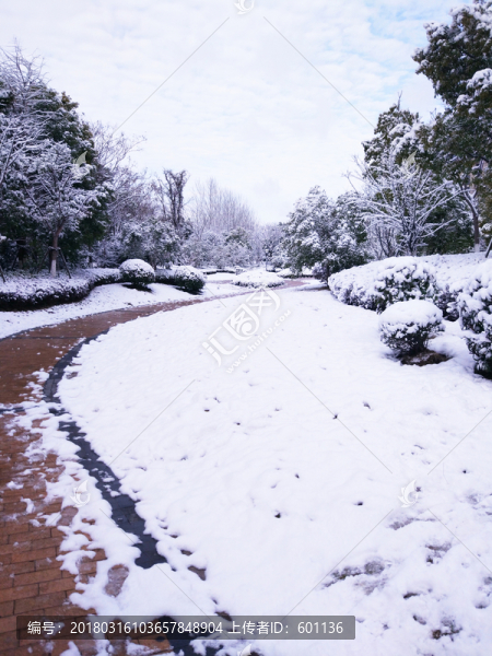 都市花園雪景
