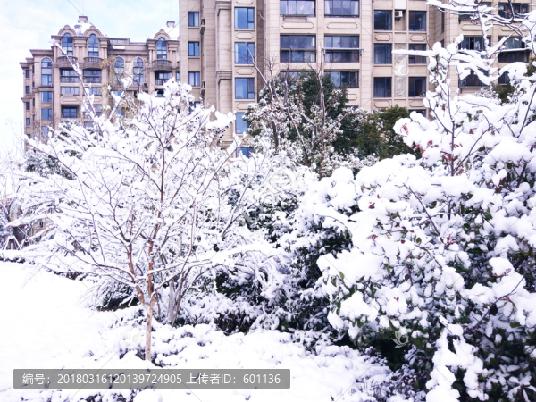 都市花園雪景