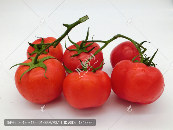 西紅柿,番茄