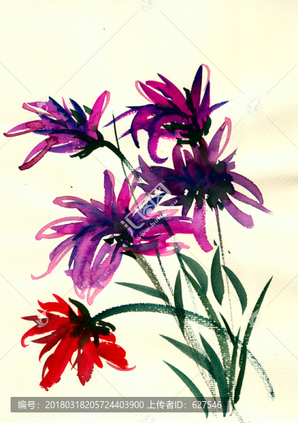紫色花叢