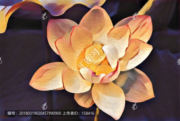 抽象工筆手繪水墨荷花