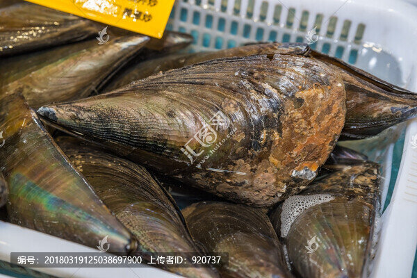 土貝