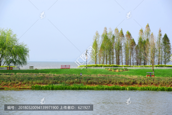 濕地