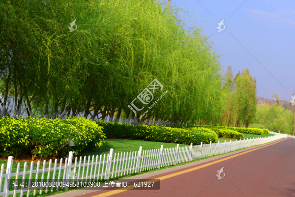 公園步道