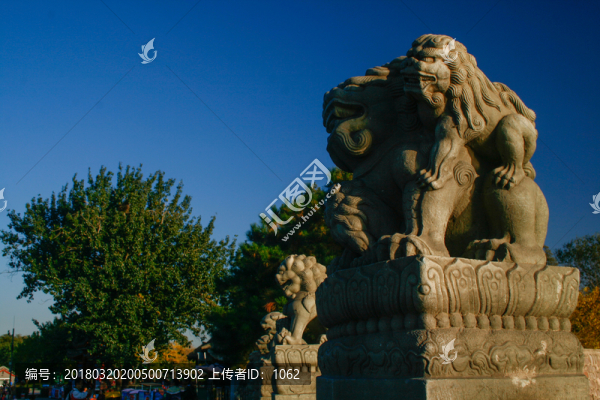 北京盧溝橋石獅子